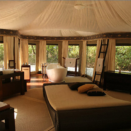 Camping Tent